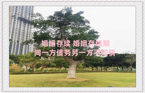 婚姻存续 婚姻存续期间一方债务另一方不知情